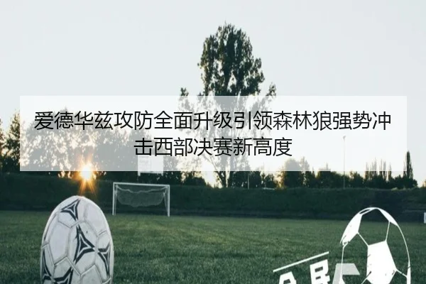 爱德华兹攻防全面升级引领森林狼强势冲击西部决赛新高度